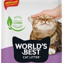 WORLD’S BEST CAT LITTER Review: Lavender and Clump Heaven