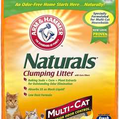 ARM HAMMER Naturals Cat Litter Review: A Breath of Fresh Air