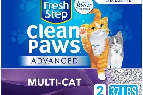 Fresh Step Clumping Cat Litter Review: Advanced Clean Paws