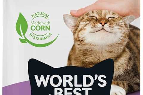 WORLD’S BEST CAT LITTER Review: Lavender and Clump Heaven