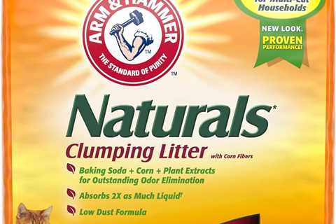 ARM HAMMER Naturals Cat Litter Review: A Breath of Fresh Air