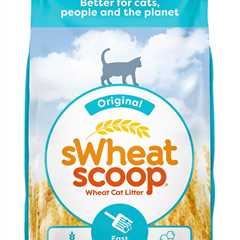 Natural Wheat Cat Litter Review: Fast Clumping Magic