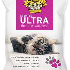 Dr. Elsey’s Premium Cat Litter Review: A Game Changer!