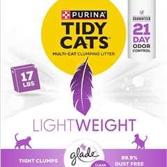 Purina Tidy Cats Review: Light as a Feather