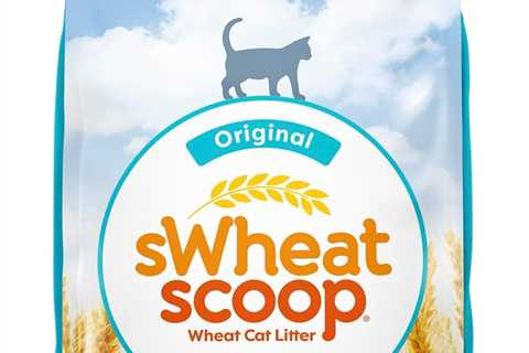 Natural Wheat Cat Litter Review: Fast Clumping Magic