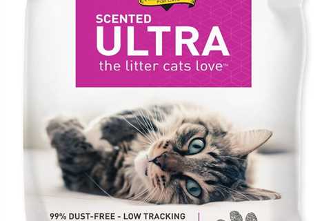 Dr. Elsey’s Premium Cat Litter Review: A Game Changer!