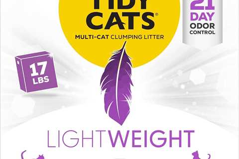 Purina Tidy Cats Review: Light as a Feather