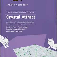 Dr. Elsey’s Crystal Attract Litter Review