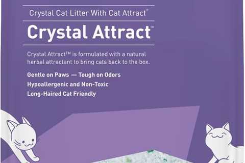 Dr. Elsey’s Crystal Attract Litter Review