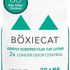 Boxie® Litter Review: Odor-Free for 30 Days