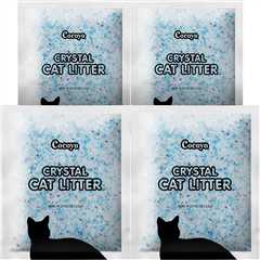 COCOYO Crystal Cat Litter Review: Odor-Free Bliss