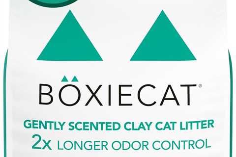 Boxie® Litter Review: Odor-Free for 30 Days