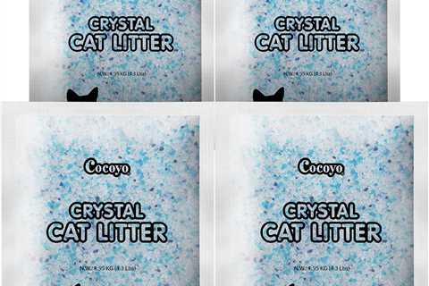 COCOYO Crystal Cat Litter Review: Odor-Free Bliss