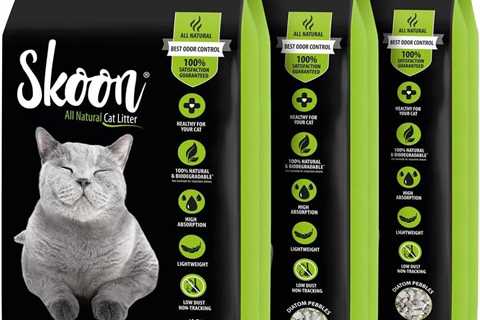 Skoon All Natural Cat Litter Review: Absorb and Odor-Free