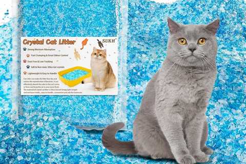 Sukh 14.8 OZ Crystal Cat Litter Review: A Breath of Fresh Air