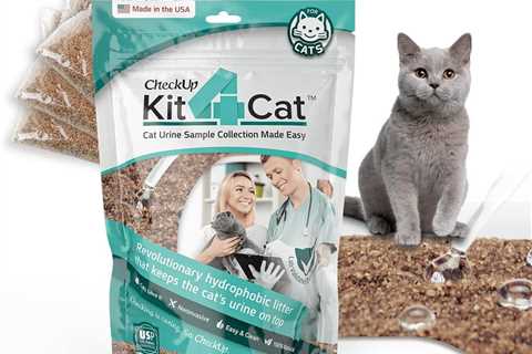 2lb Hydrophobic Cat Litter Review: The Urine Collection Miracle