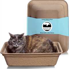 Luli & Cat: Jumbo Sized Convenience Unleashed — Review