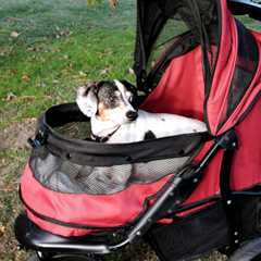 Dog Strollers & Prams for Pets | UK Delivery | DogStroller.uk