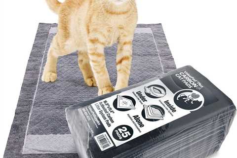 ValuePad Plus Cat Litter Pads Review: Quick-Dry Marvel