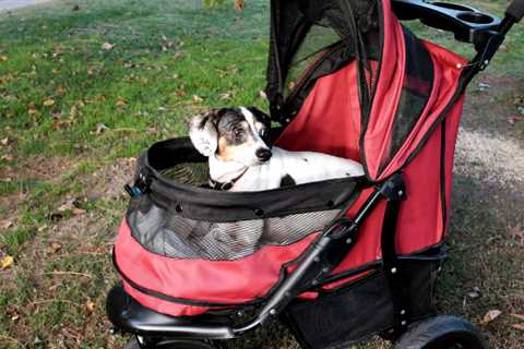 Dog Strollers & Prams for Pets | UK Delivery | DogStroller.uk