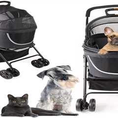 My Duque 2-in-1 Dog & Pet Buggy Pram Stroller | Lightweight Carrier for Cats & Small Dogs