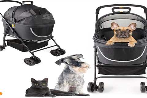 My Duque 2-in-1 Dog & Pet Buggy Pram Stroller | Lightweight Carrier for Cats & Small Dogs
