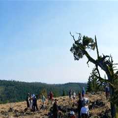 The Interplay Between Tourism and Nature Preservation in Central Oregon